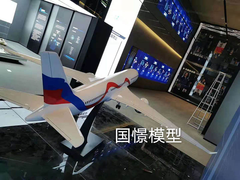 宜丰县飞机模型